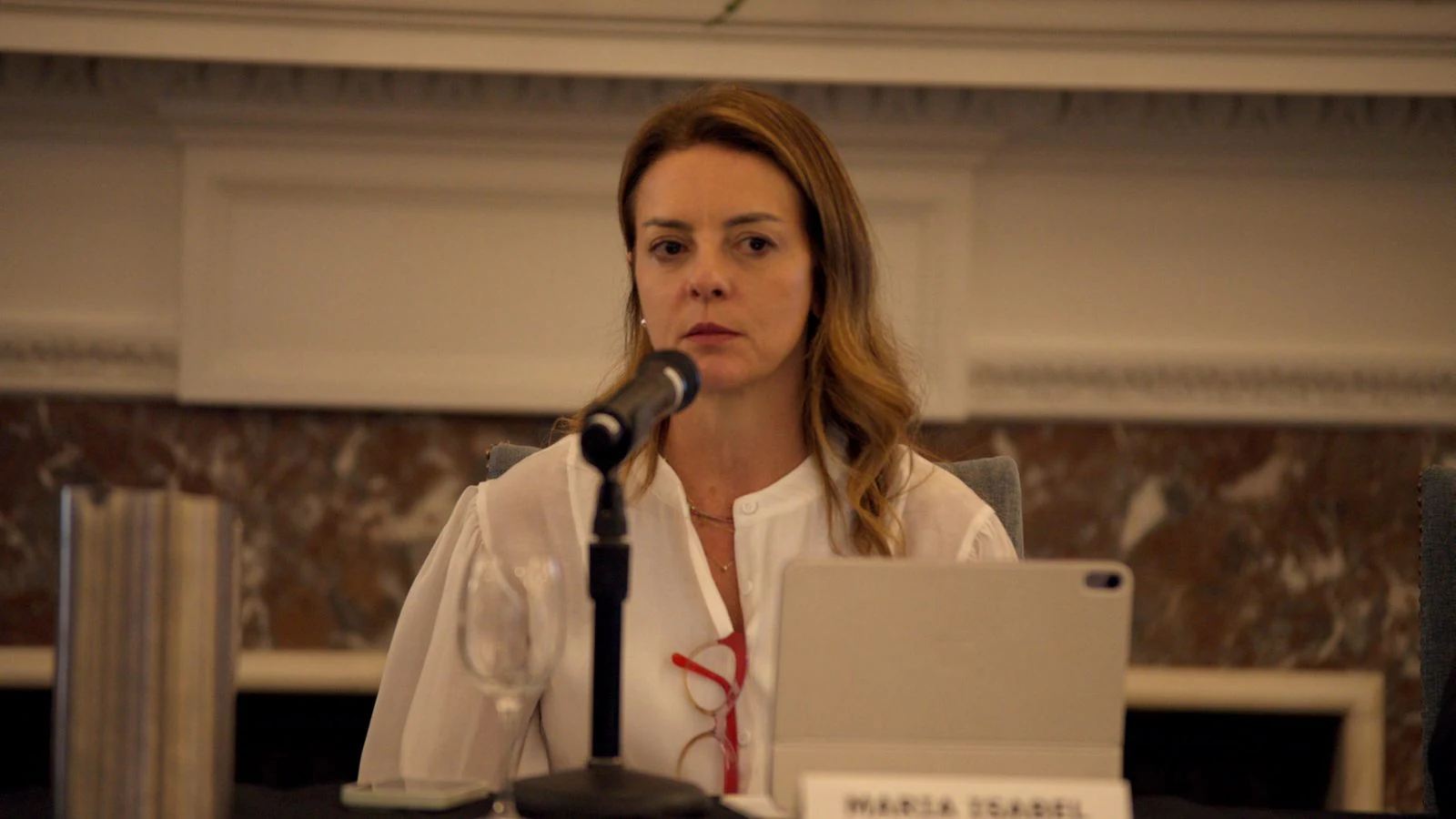 9th BLS Annual Conference: A panelist speaking